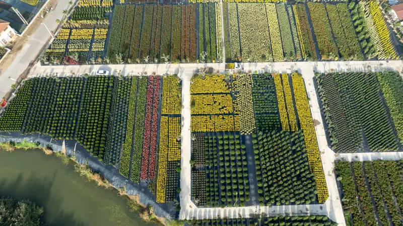 2025年智慧商城系统技术趋势与福建企业数字化转型路径分析