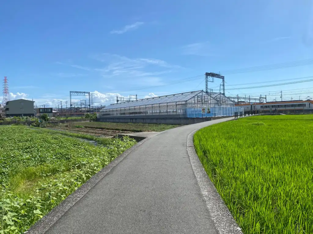 福建企业数字化转型中易秒智能软件的部署方案与实施价值