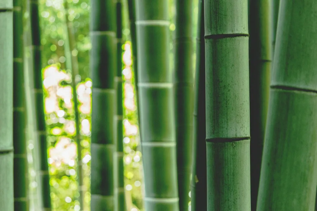 福建易秒智能科技智慧商城系统技术架构与性能优势解析